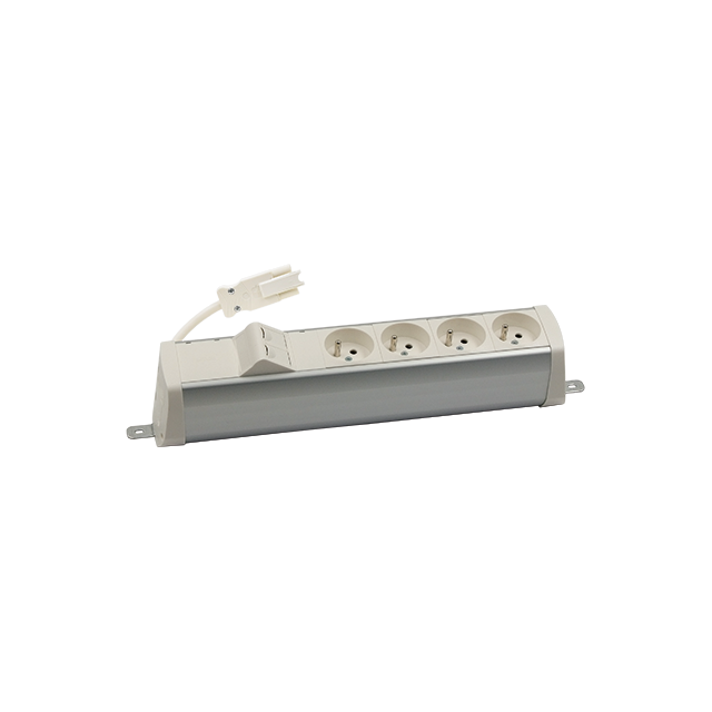 "Simon 480 TS48-210E400K0-30 Listwa poszerzona 4 gn. typ E i płytka 2xRJ45 keystone