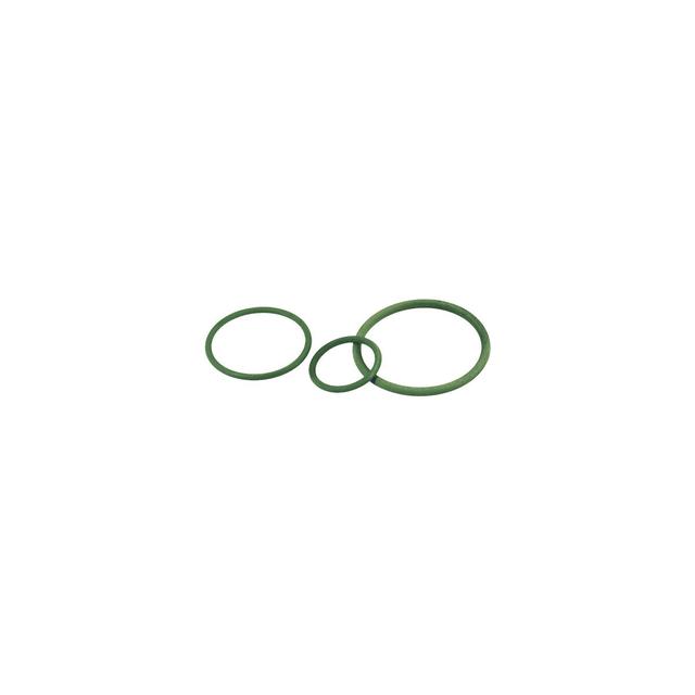 O-RING_VITON_PG_16___009.139