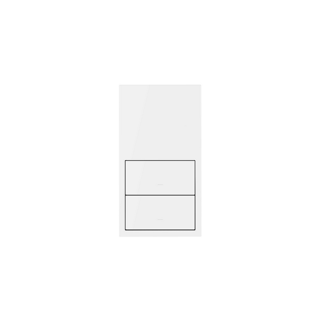 Simon 100 Panel 2-krotny: 2 klawisze biały mat