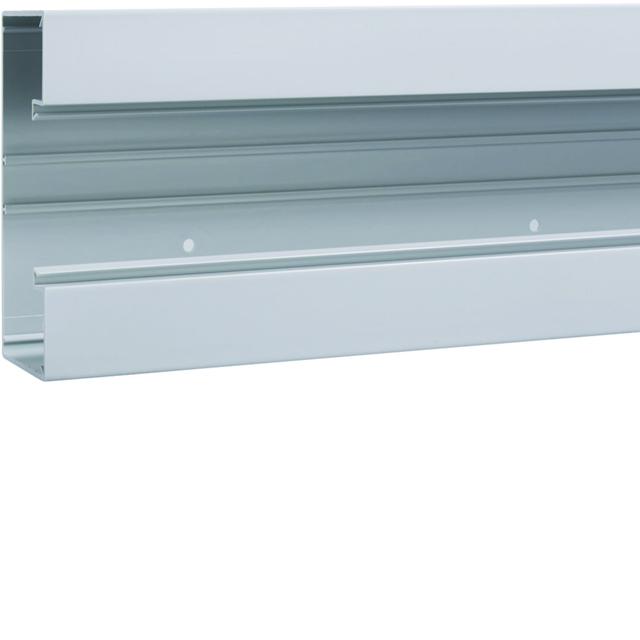 tehalit.BRP Kanał PVC podstawa 65x170 jasnoszary BRP6517017035 HAGER