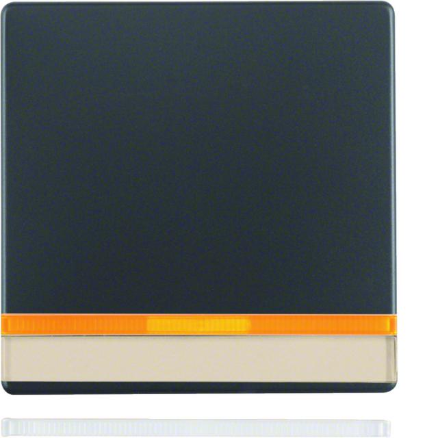 BERKER Q.x Klawisz z 2 dołączonymi soczewkami i z polem opisowym do łącznika 1-klawiszowego antracyt