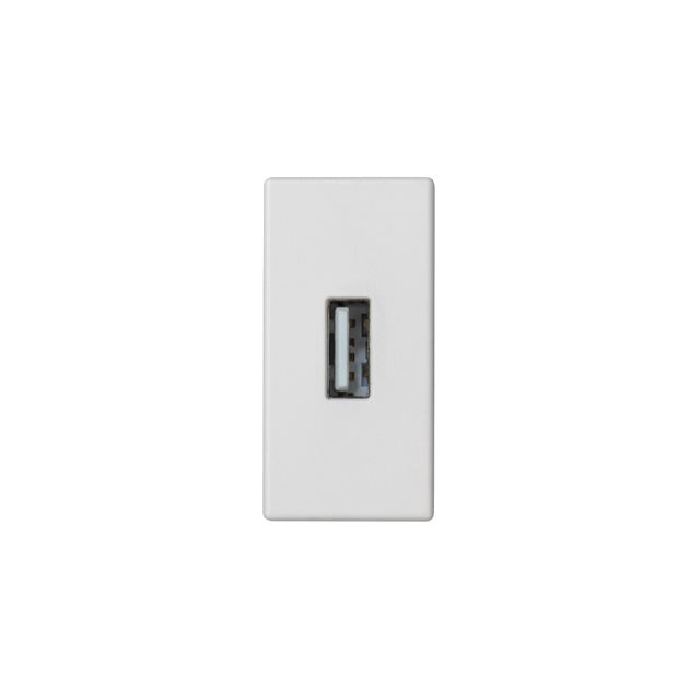 Simon Connect Płytka K45/2 złącza USB typ A żeńskie 225x45mm + gniazdo zaciski śrubowe czysta biel K128B/9 KONTAKT