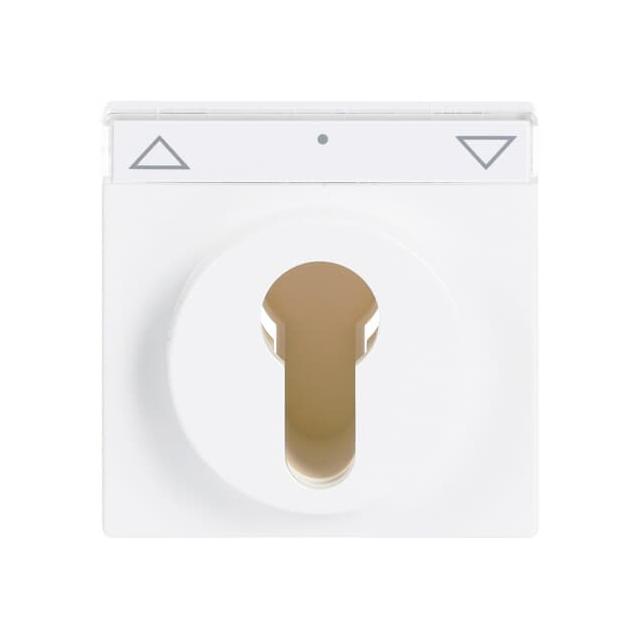 CARAT/FUTURE/SOLO/AXCENT  Pokrywa z polem opisowym. Z nadrukiem Do wyłącznika na klucz i wyłącznika/