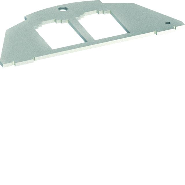tehalit.VE-EE Płytka montażowa 2xRJ Typ 03 BTR 19,5x14,85 BSM032 HAGER