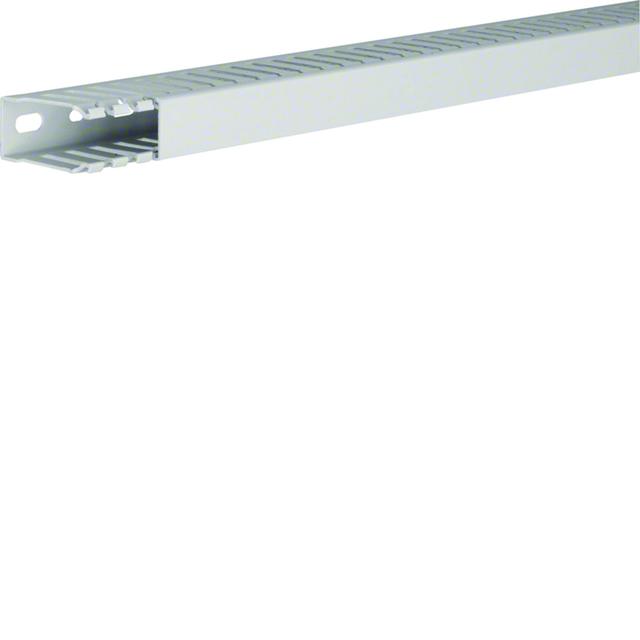 tehalit.HNG Kanał grzebieniowy bezhalogenowy 50x25mm PC-ABS jasnoszary HNG50025 HAGER