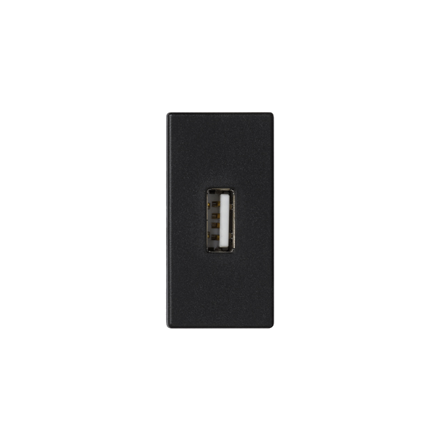 Simon Connect Płytka K45/2 złącza USB typ A żeńskie 225x45mm+gniazdo z. śrub. szary grafit