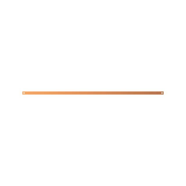 ZX1102 Szyna Cu 30x5mm 5F