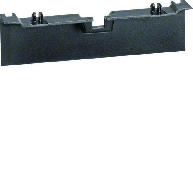 tehalit.SL Maskownica nośnika 20x80 czarny SL20080A9011 HAGER