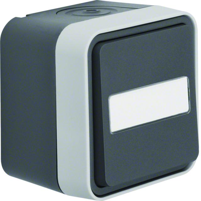 BERKER W.1 Łącznik uniwersalny przyciskowy z podświetleniem z polem opisowym kompletny IP55 szary 50