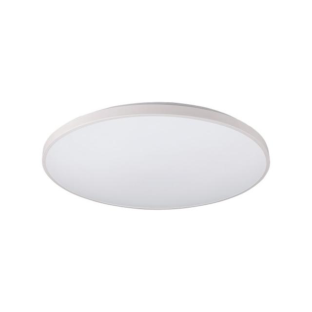 AGNES ROUND LED WHITE 64W 4000K IP44