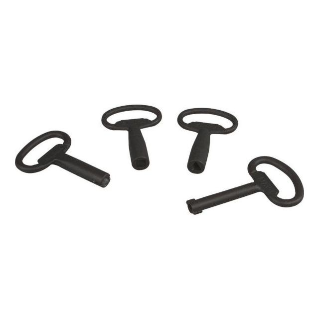 NWS-SL/DLB/3 Zapasowy klucz do zamka dwupiórkowego 3 mm 255317 EATON