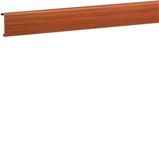 tehalit.SL Pokrywa 20x55 wiśnia SL200552D4 HAGER