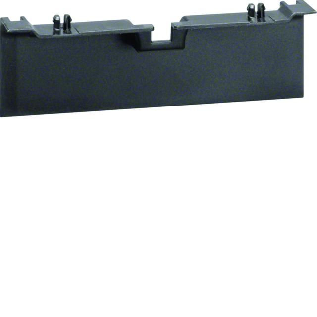 tehalit.SL Maskownica nośnika 20x115 czarny SL20115A9011 HAGER