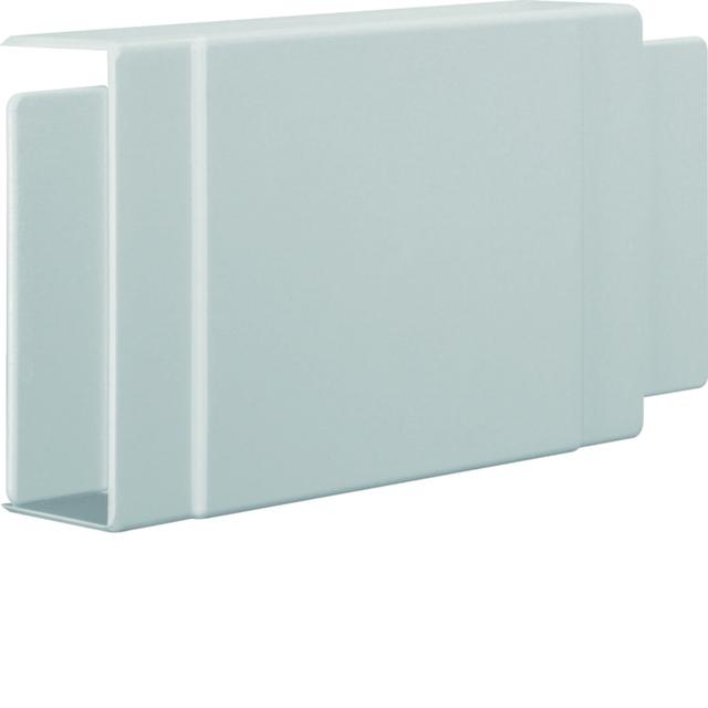 tehalit.LF Element T/X, 40x110mm, jasnoszary LF4011087035 HAGER