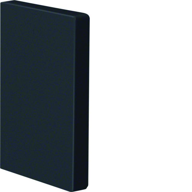 tehalit.BRP Końcówka 65x100 czarny BRP6510069011 HAGER