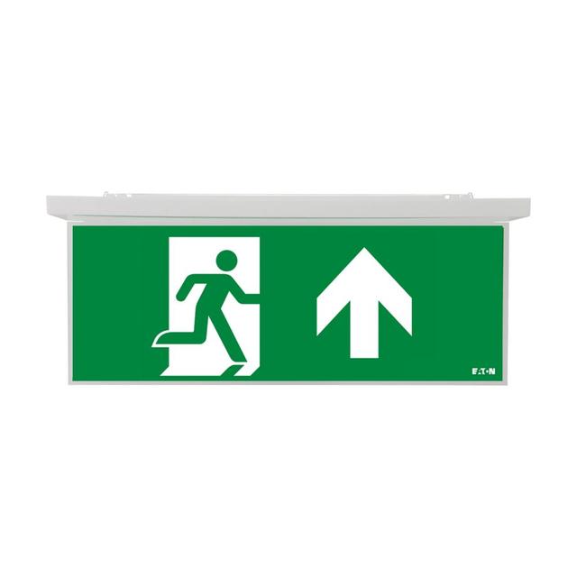 NexiTech LED opal szyba strzałka do góry/ zaślepka 20m ISO7010 NEXI-PLEXO-20-UB EATON