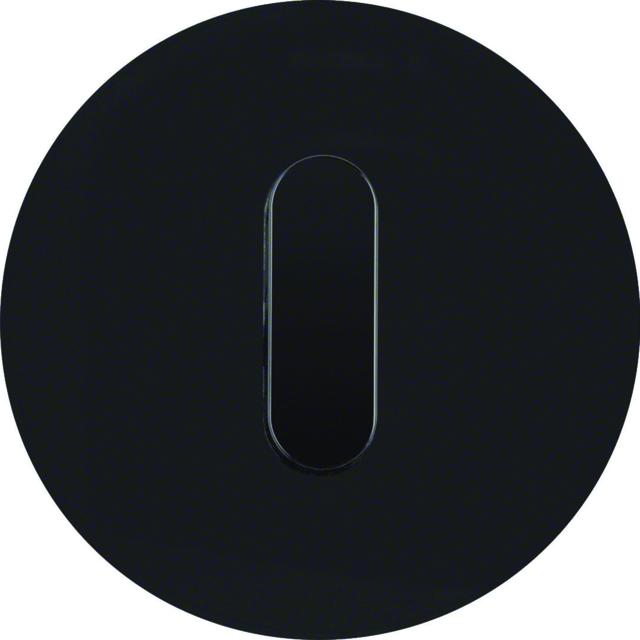 R.classic Płytka czołowa z pokrętłem do łącznika obrotowego, szkło, czarny