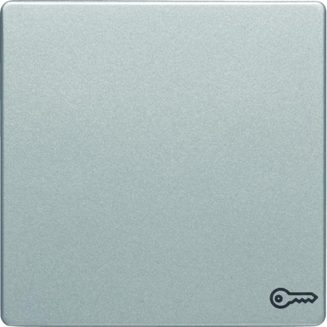 BERKER Q.x Klawisz z nadrukowany symbol klucz do łącznika 1-klawiszowego aluminium aksamit lakierowa