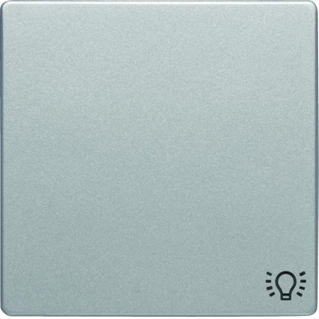 BERKER Q.x Klawisz z nadrukowany symbol światło do łącznika 1-klawiszowego aluminium aksamit lakierowana 16206044 HAGER