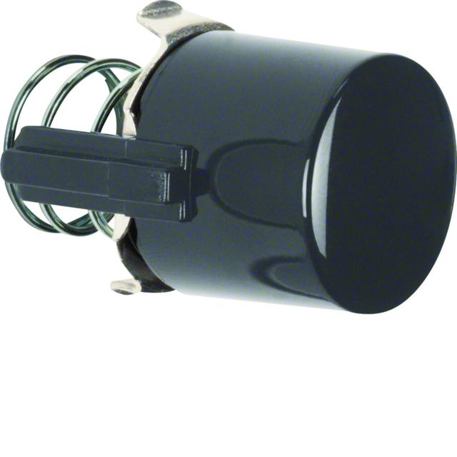 BERKER Serie 1930/Glas Przycisk do łącznika i sygnalizatora E10 czarny 122501 HAGER