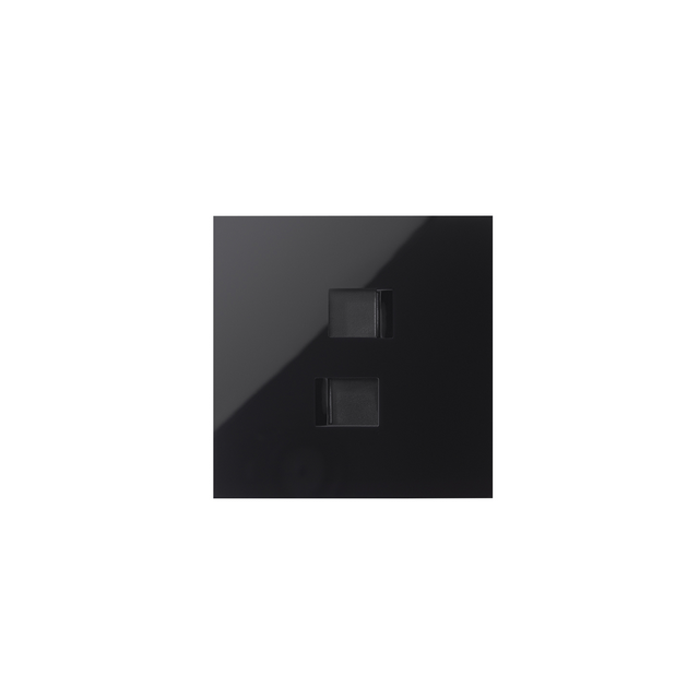 Simon 100 Panel 1-krotny: 2 gniazda RJ45 czarny