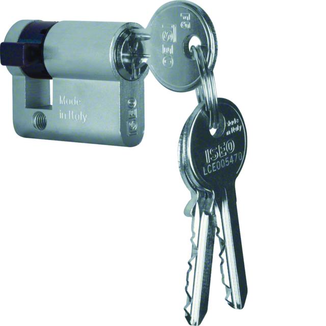 BERKER Wkładka patentowa z różnymi zamkami 1818 HAGER