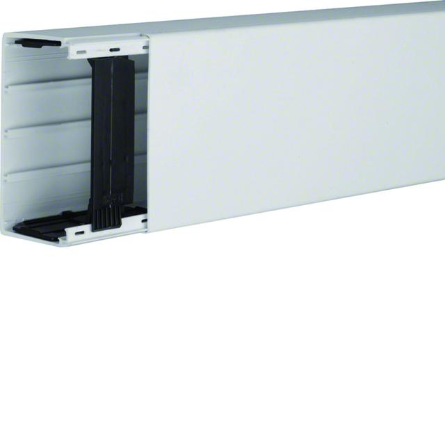 tehalit.LF Kanał elektroinstalacyjny PVC 60x110mm jasnoszary LF6011007035 HAGER