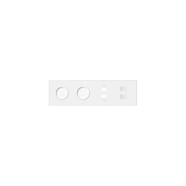 Simon 100 Panel 4-krotny: 2 gniazda+2x1 ładowarka USB+2xRJ45 biały mat