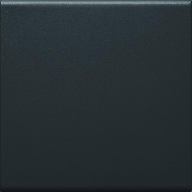 tehalit.WA Klawisz do łącznika 1-klawiszowego PC-ABS bezhalogenowy czarny