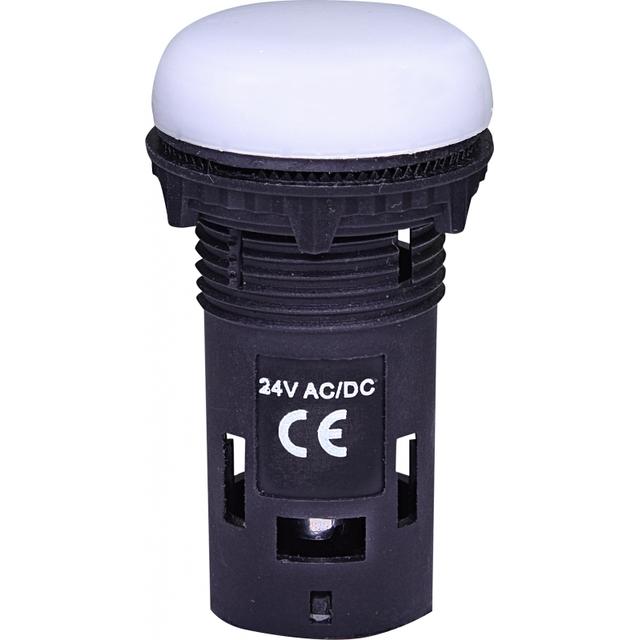ECLI-024C-W - Lampka LED 24V AC/DC -Biała