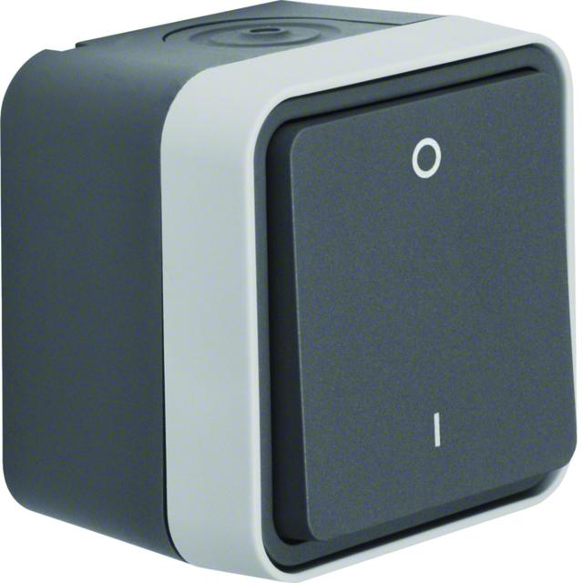 BERKER W.1 Łącznik 1-klawiszowy dwubiegunowy z nadrukiem "0/1" kompletny IP55 szary 30723505 HAGER