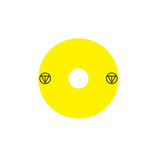 Ex9P1 H S9EMS Naklejka wyłącznika awaryjnego do Ex9P1 H średnica 90mm samoprzylepna żółta symbol ES