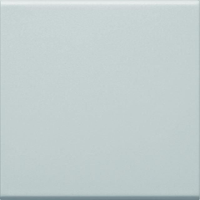 tehalit.WA Klawisz do łącznika 1-klawiszowego PC-ABS bezhalogenowy jasnoszary