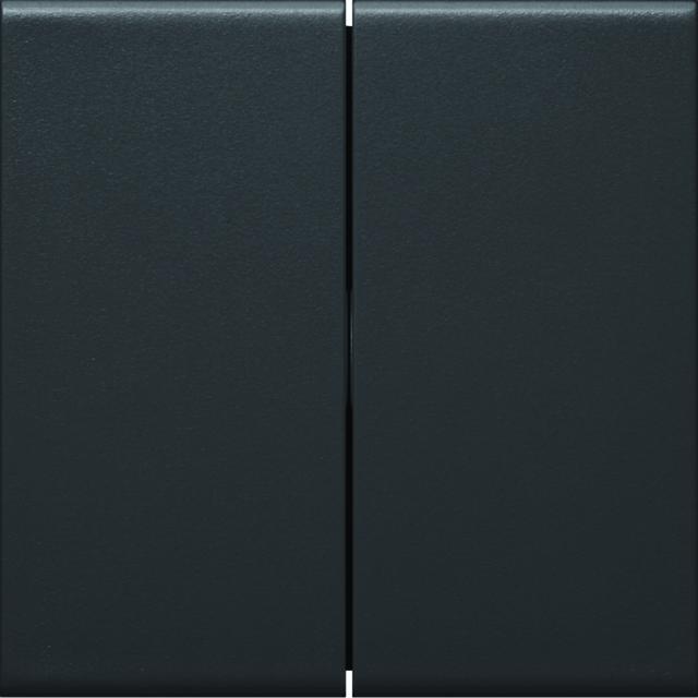 tehalit.WA Klawisze do łącznika 2-klawiszowego PC-ABS bezhalogenowy czarny