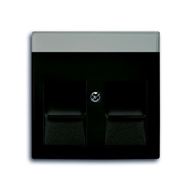 BASIC55 Pokrywa z polem opisowym Do 2 złączy Modular Jack z przysłonami czarny-chateau
