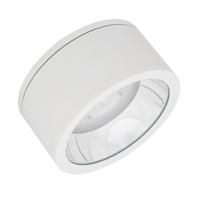 Oprawa DOWNLIGHTSURFACE DN 250 P 45W 830 36D IP65 WT
