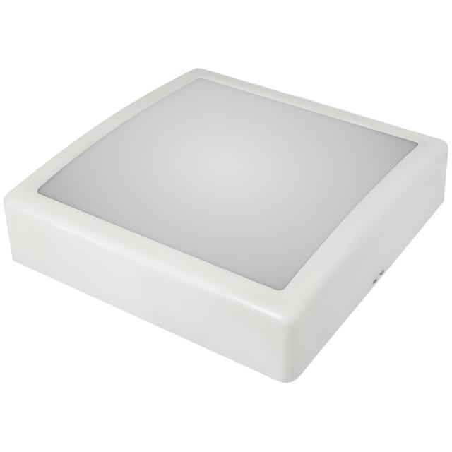 Oprawa oświetleniowa IRYS LED biały pierścień, klosz mleczny b.neutralny 13W