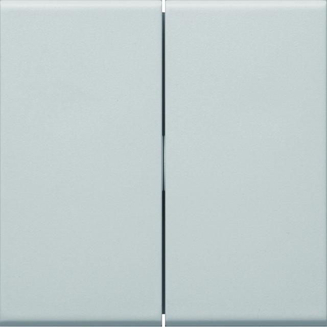 tehalit.WA Klawisze do łącznika 2-klawiszowego PC-ABS bezhalogenowy jasnoszary