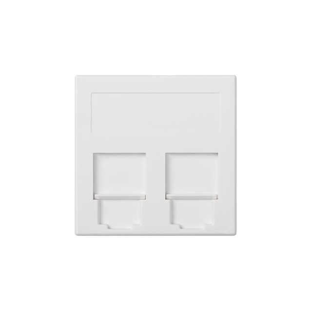 Simon Connect Płytka S500 2x RJ z osłonami PANDUIT czysta biel