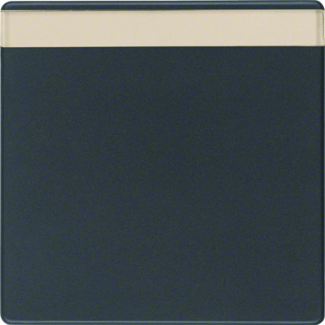 BERKER Q.x Klawisz z polem opisowym do łącznika 1-klawiszowego antracyt aksamit 16266086 HAGER