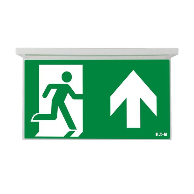 NexiTech LED opal szyba strzałka do góry / zaślepka 30m ISO7010 NEXI-PLEXO-UB EATON