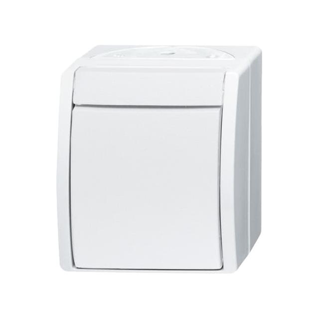 OCEAN Przycisk kołyskowy zwierny 1-biegunowy, Z zaciskiem N  IP 44 biały alpejski