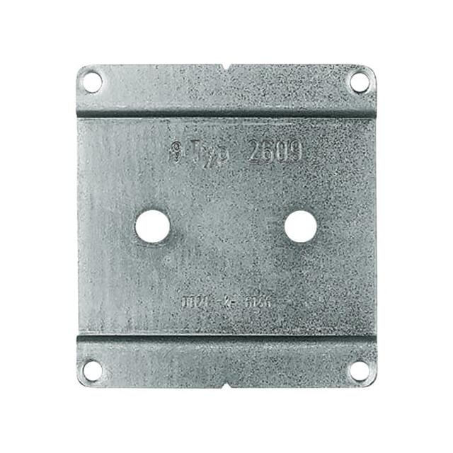 OCEAN/BUSCH-DURO WDI  Płyta montażowa Dla poszczególnych urządzeń natynkowych bryzgoszczelnych/wodos