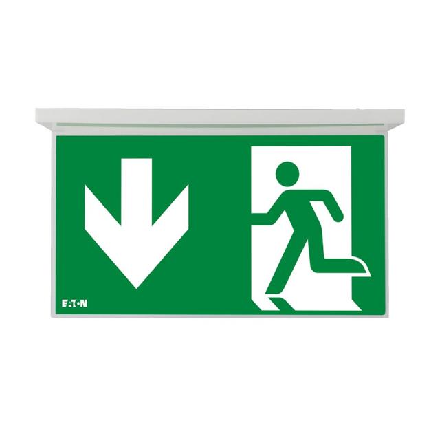 NexiTech LED opal szyba strzałka w dół / strzałka w dół 30m ISO7010 NEXI-PLEXO-DD EATON