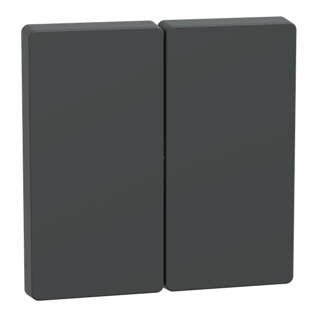 Merten, D-Life, klawisz podwójny, antracytowy