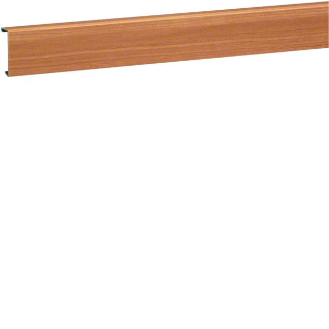 tehalit.SL Pokrywa 20x55 buk SL200552D2 HAGER