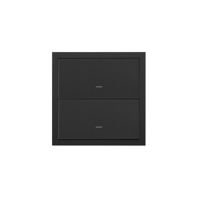 Simon 100 Panel 1-krotny: 2 klawisze czarny mat