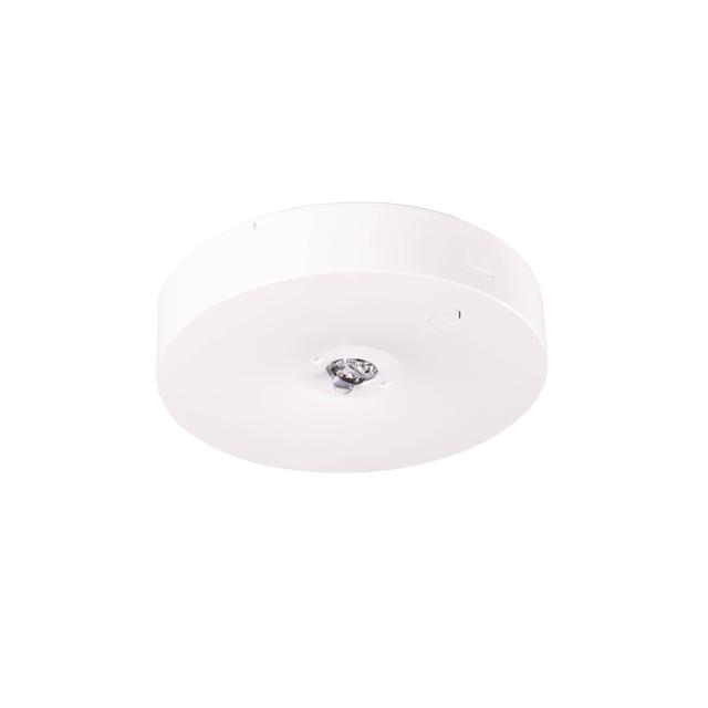 Oprawa awaryjna natynkowa Starlet Round LED SCH 350 A 1H MT IP20 / soczewka korytarzowa do pomieszcz 91579 INTELIGHT