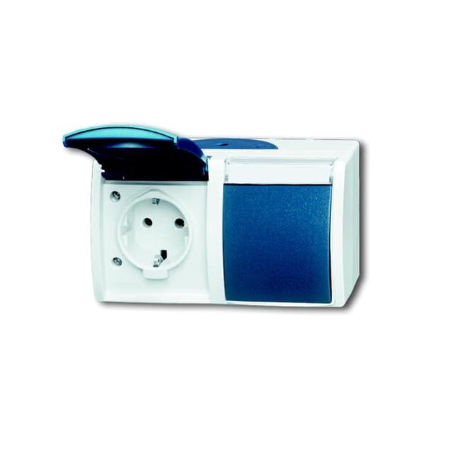 OCEAN Gniazdo SCHUKO Podwójne, Ze wstępnym okablowaniem Z klapką Z polem opisowym IP 45 szary/zielon 2CKA002084A0728 ABB