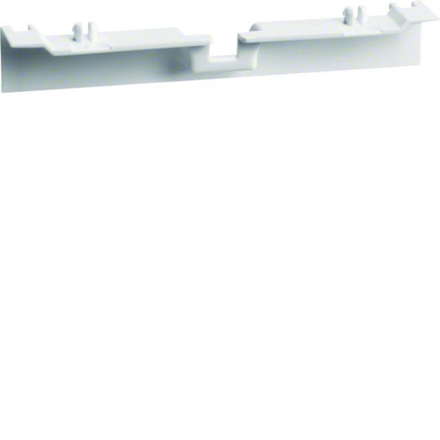 tehalit.SL Maskownica nośnika 20x55 biały SL20055A9016 HAGER